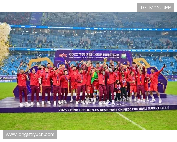 足球v站官网用户指南，教你如何快速找到心仪的足球比赛直播和最新赛事资讯